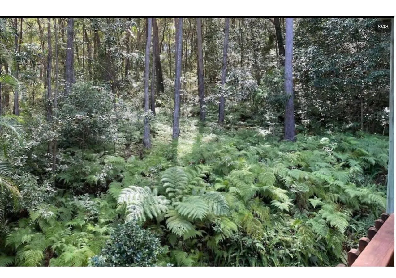 The Forest Bure - Fijian Hinterland Retreat Ninderry 0*,